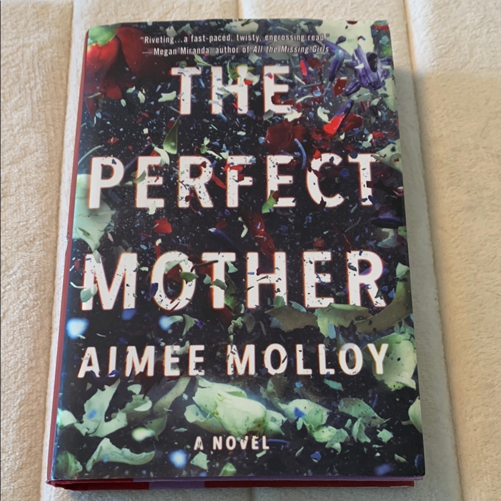 Thriller The Perfect Mother by Aimee Molloy Hardcover novel